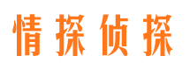 市中市出轨取证